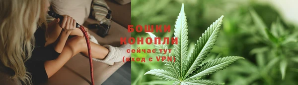 spice Аркадак
