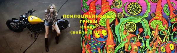 ГАЛЛЮЦИНОГЕННЫЕ ГРИБЫ Алексеевка
