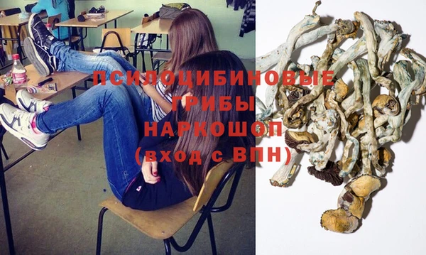 ГАЛЛЮЦИНОГЕННЫЕ ГРИБЫ Алексеевка