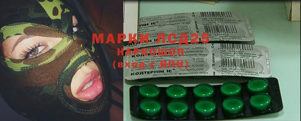 ГАЛЛЮЦИНОГЕННЫЕ ГРИБЫ Алзамай