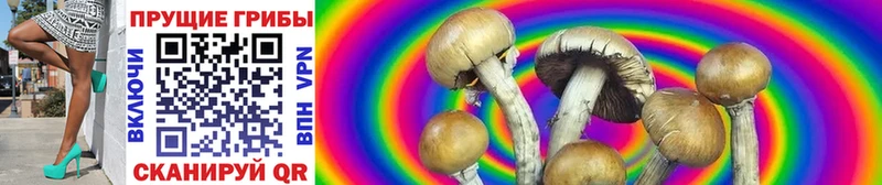 Купить закладки Удомля Псилоцибиновые грибы Psilocybine cubensis